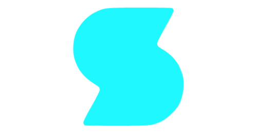 SEOSkinny